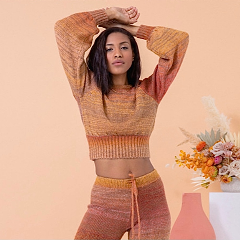 L*Space Juniper crop top sweater!